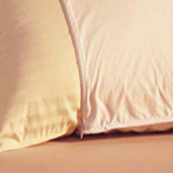 Allery Resist Pillow Protector King 20x30 inch Cover 100% Natural Micro Sateen