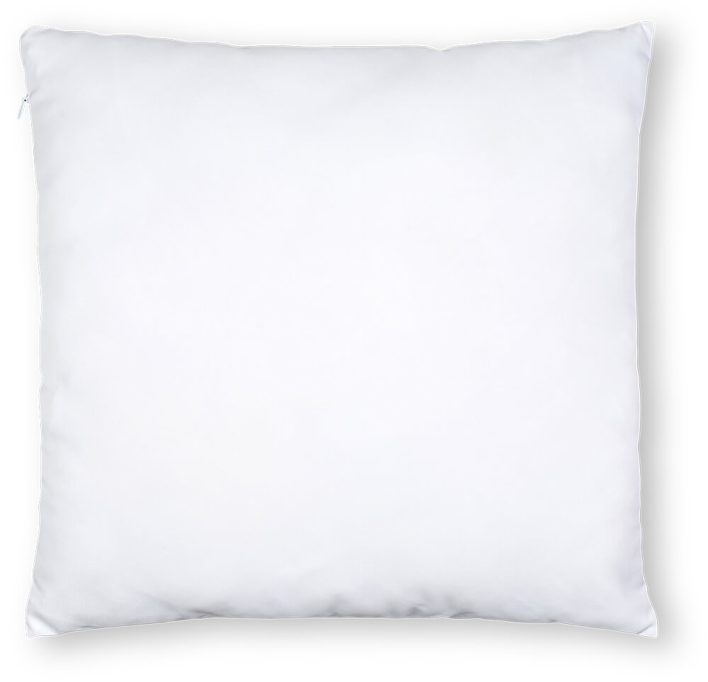 ComfyDown 95% Feather 5% Down Rectangle Decorative Pillow Insert Sham Stuffer Alwyn Home Size: 14 x 18