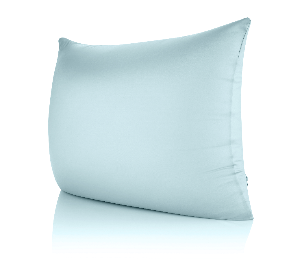 360 - CV_NYSPN-ZP_STAN-SWBBlue - Husband Pillow