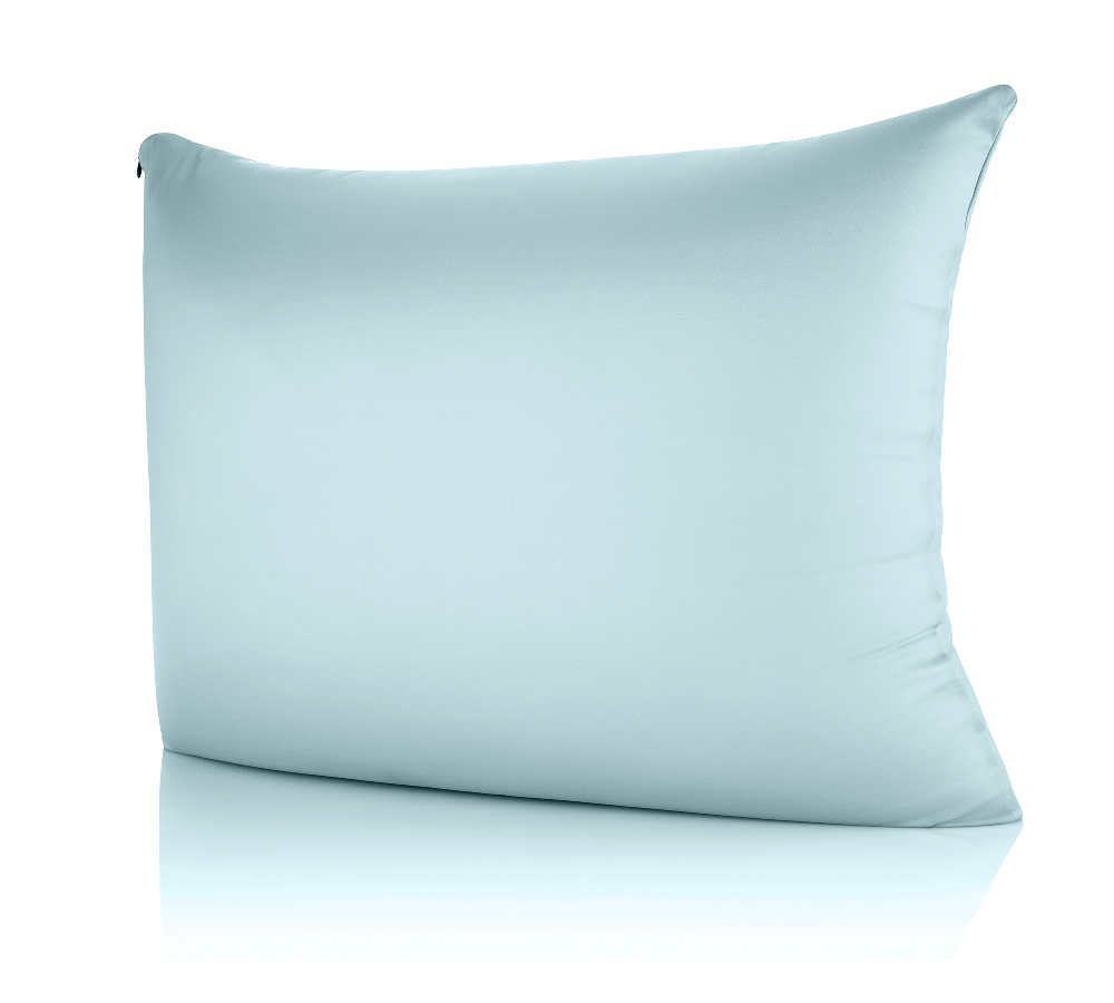 360 - CV_NYSPN-ZP_STAN-SWBBlue - Husband Pillow