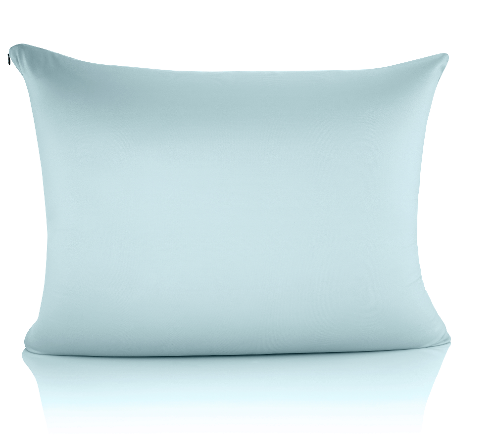 360 - CV_NYSPN-ZP_STAN-SWBBlue - Husband Pillow