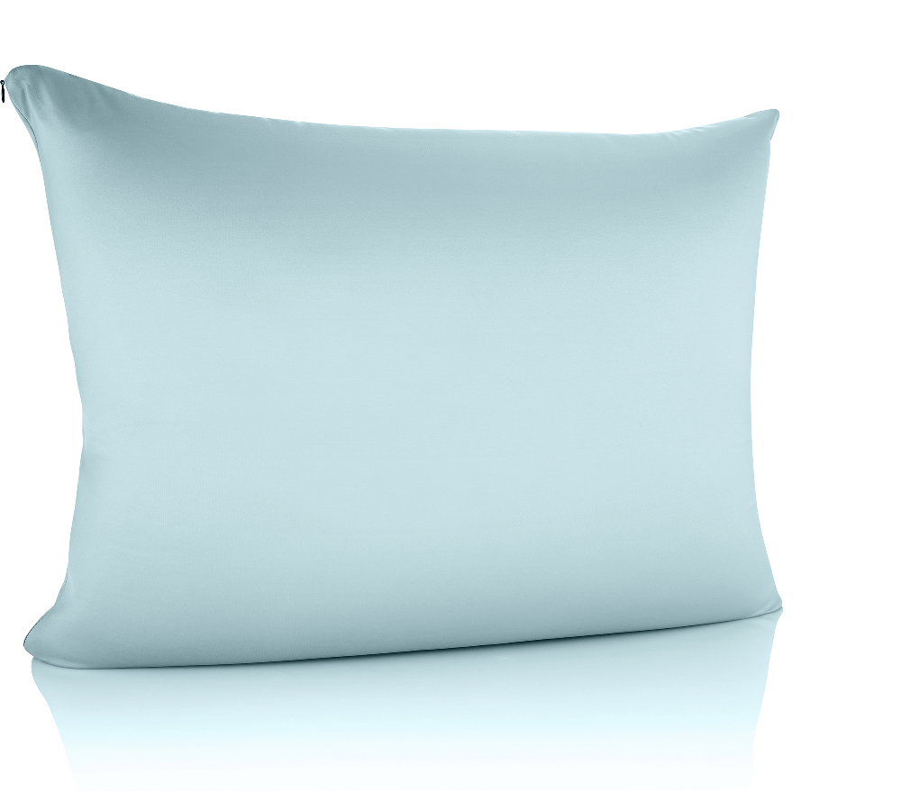 360 - CV_NYSPN-ZP_STAN-SWBBlue - Husband Pillow