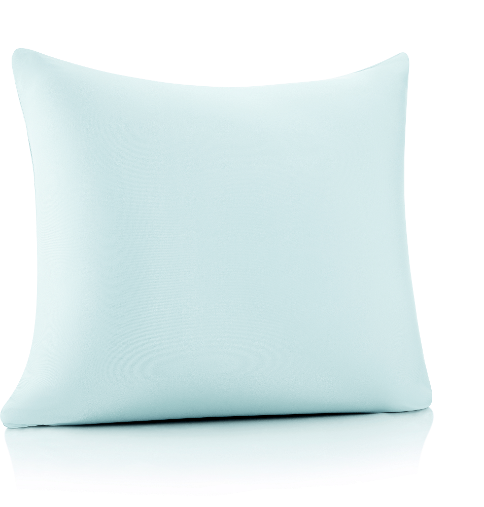 360 - PilSpan-20x20-SWBBlue - Husband Pillow