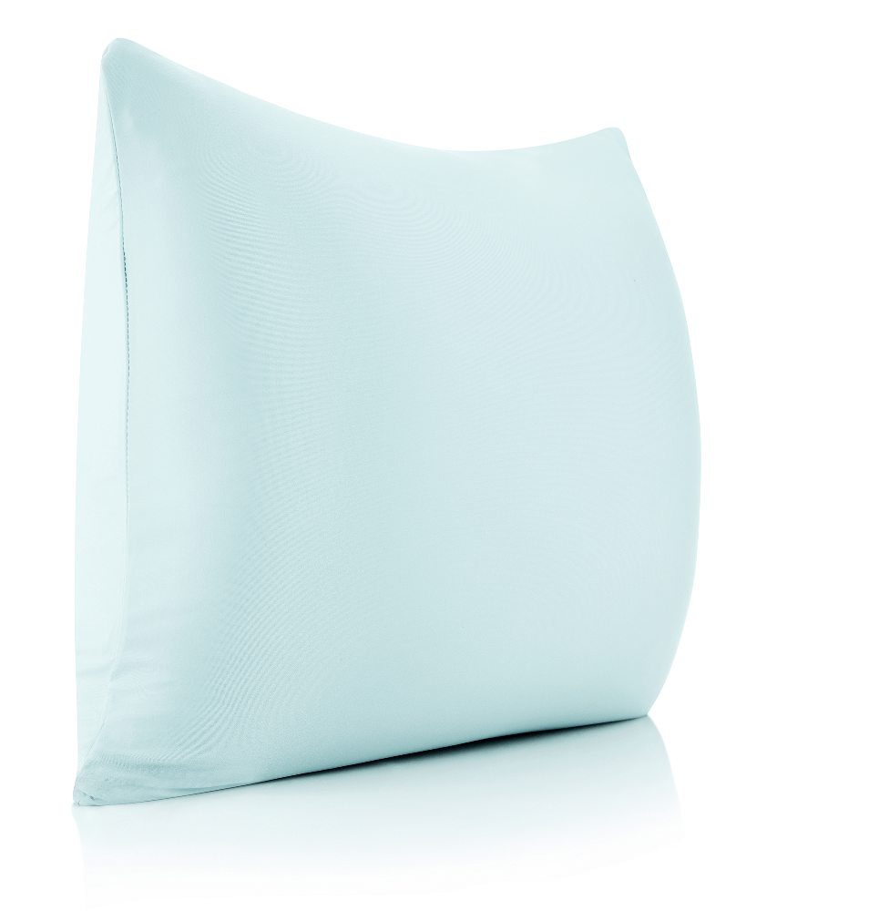 360 - PilSpan-20x20-SWBBlue - Husband Pillow