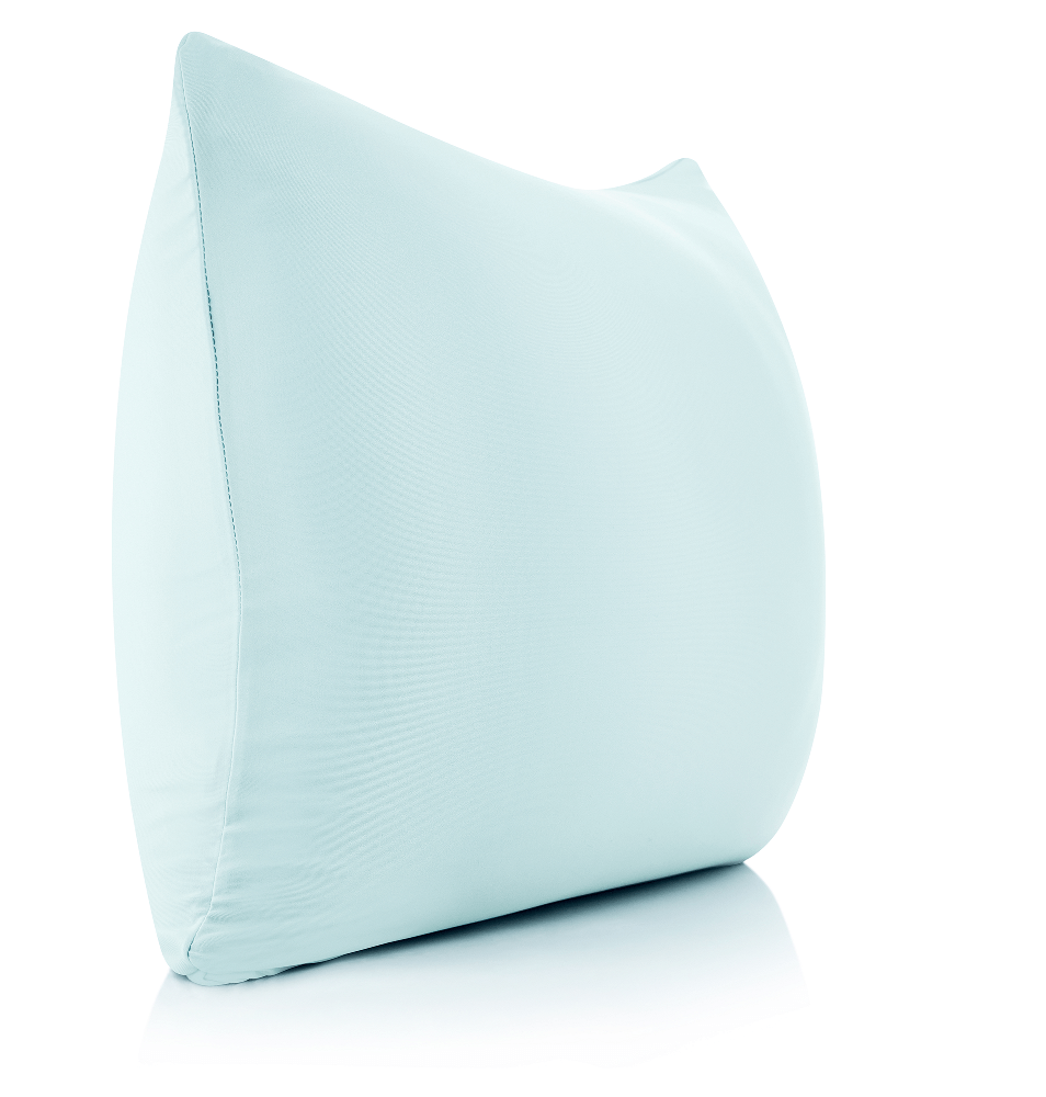 360 - PilSpan-20x20-SWBBlue - Husband Pillow