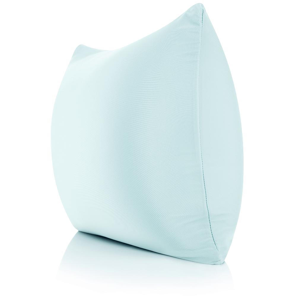 360 - PilSpan-20x20-SWBBlue - Husband Pillow