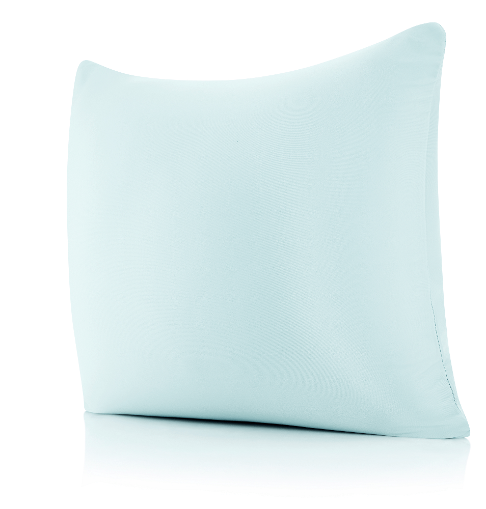 360 - PilSpan-20x20-SWBBlue - Husband Pillow