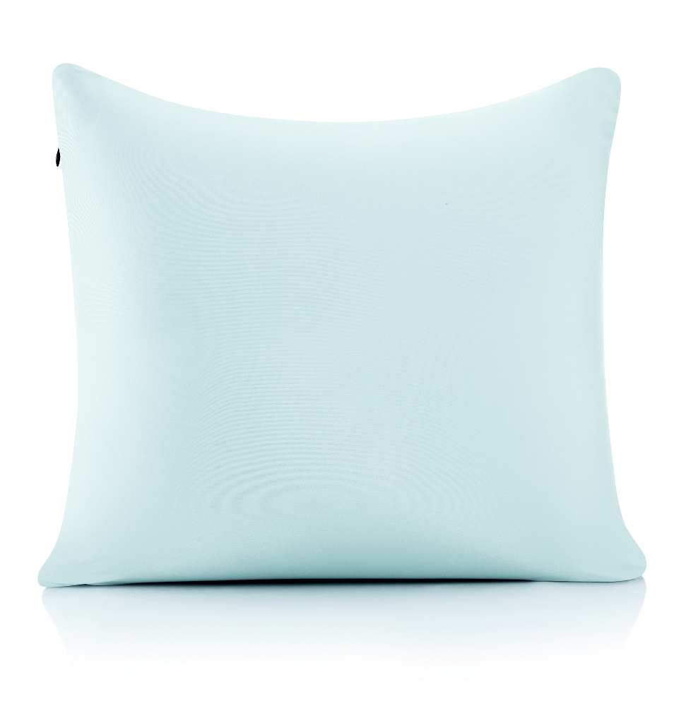 360 - PilSpan-20x20-SWBBlue - Husband Pillow