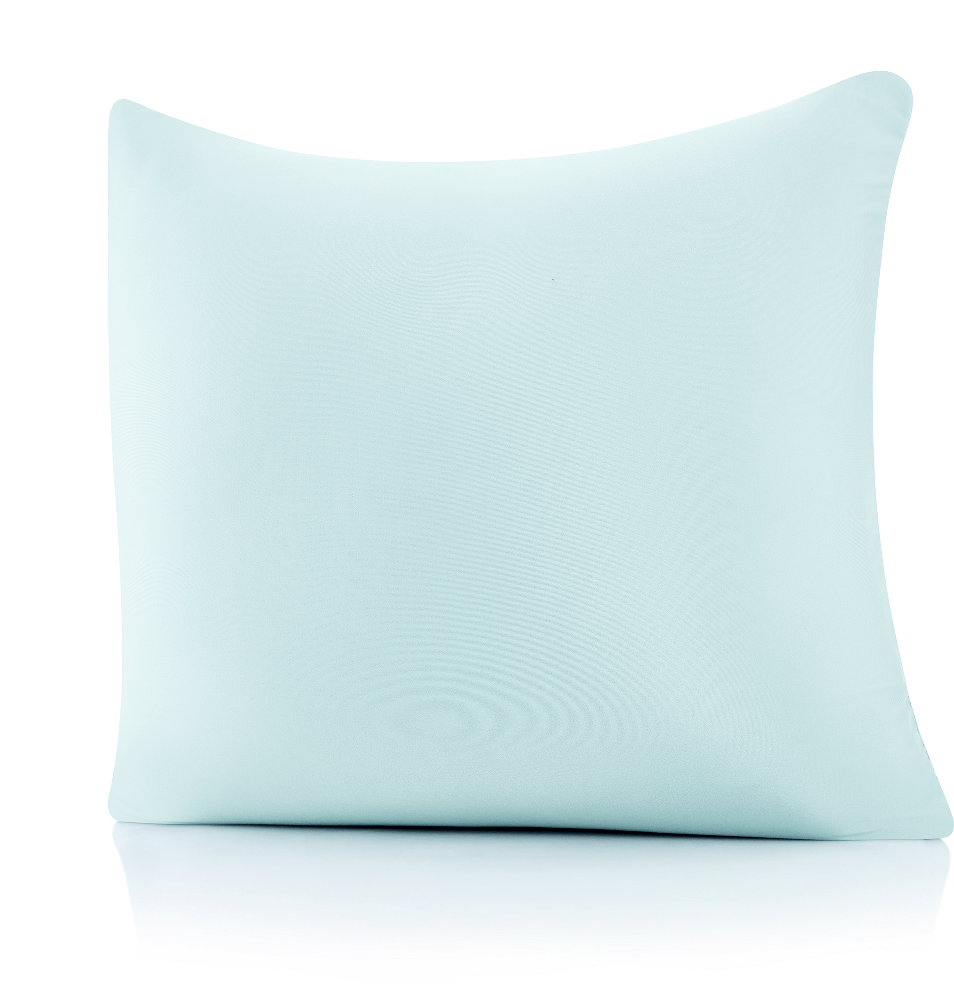 360 - PilSpan-26x26-SWBBlue - Husband Pillow