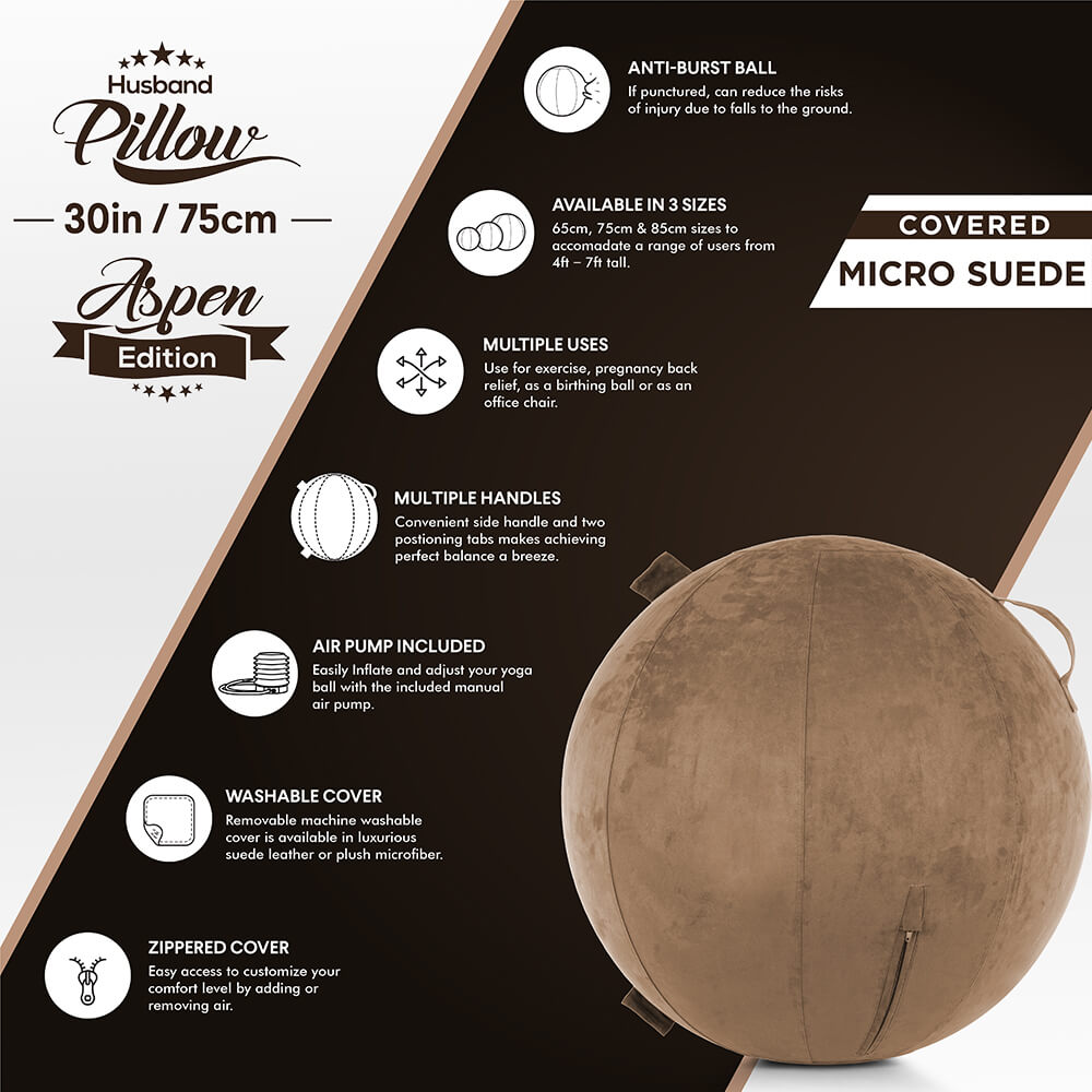 Yoga Ball SET - 30 inch/ 75cm - Aspen Edition - Micro Suede Leather - Manual Pump / Deflate - Husband Pillow