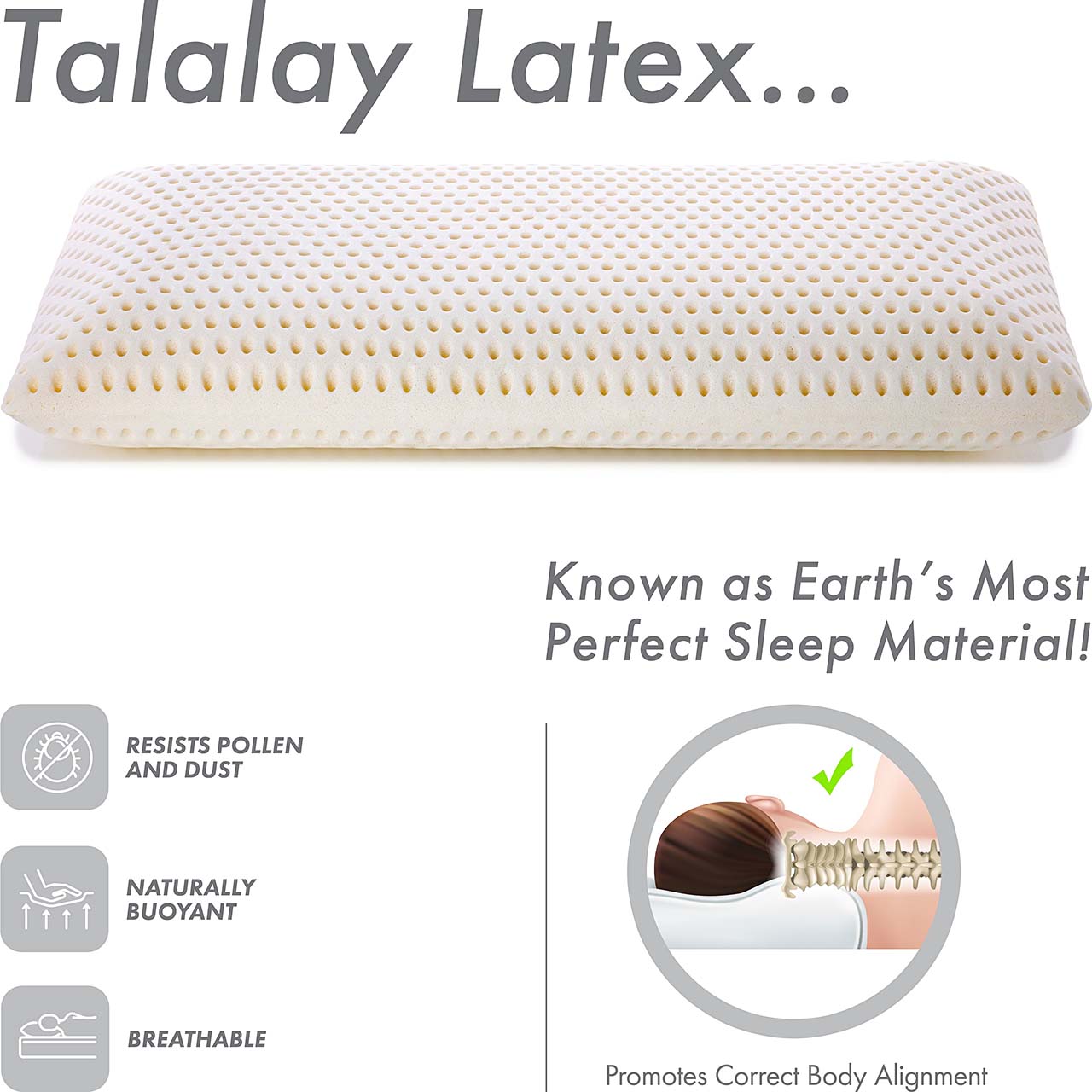 Queen Talalay Latex Bed Pillow w/ Breathable Cotton Cover