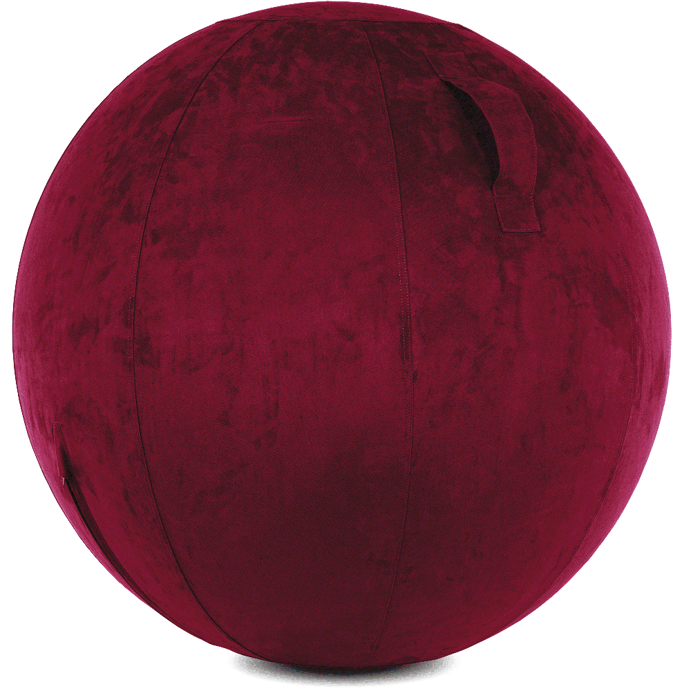 360 - YOGA-75-COWBALL-MPurpl-Elect - Husband Pillow