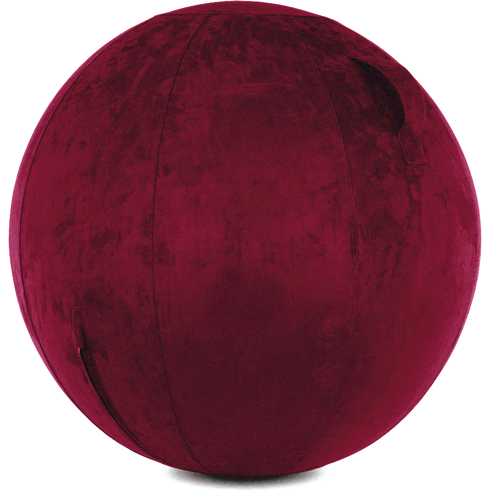 360 - YOGA-75-COWBALL-MPurpl-Manual - Husband Pillow