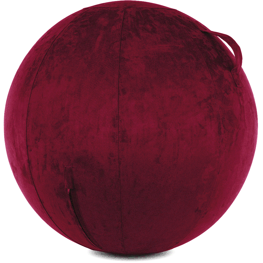 360 - YOGA-75-COWBALL-MPurpl-Manual - Husband Pillow