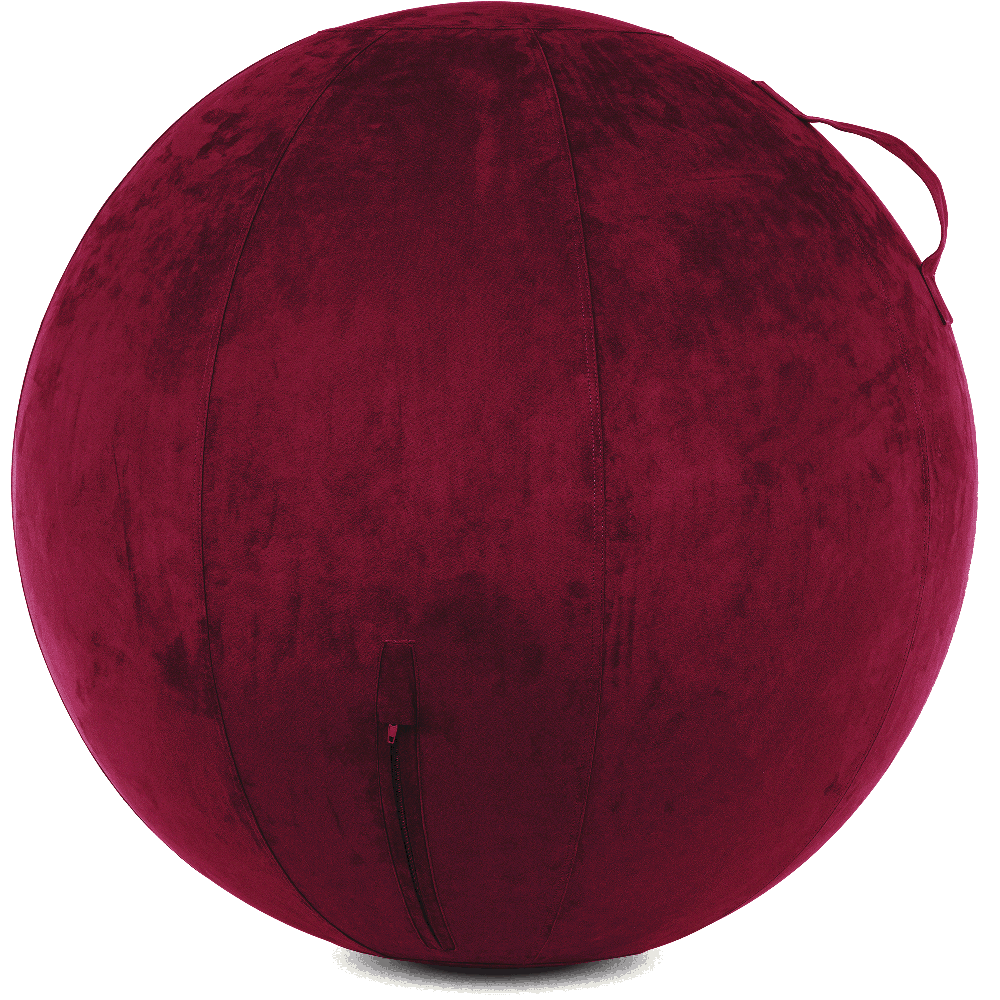 360 - YOGA-75-COWBALL-MPurpl-Manual - Husband Pillow