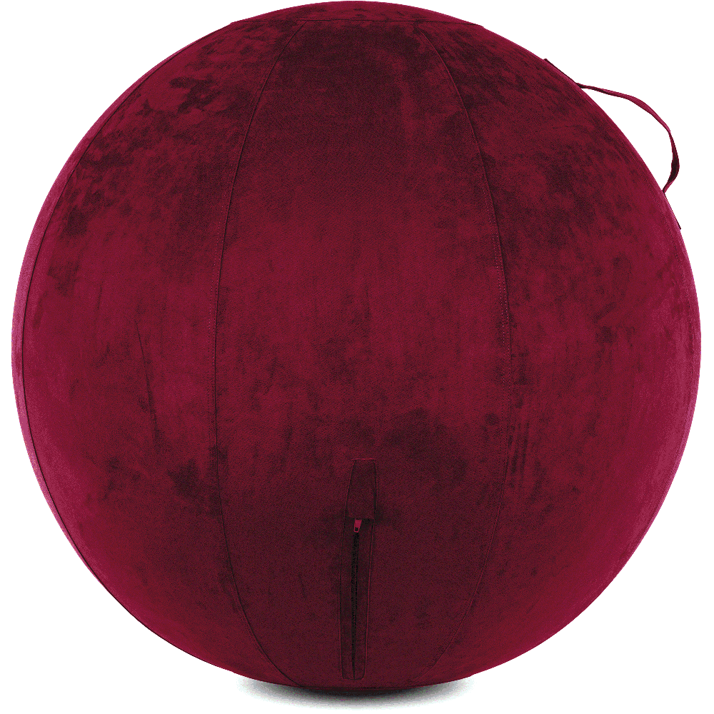 360 - YOGA-75-COWBALL-MPurpl-Manual - Husband Pillow