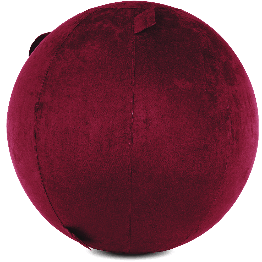 360 - YOGA-75-COWBALL-MPurpl-Manual - Husband Pillow