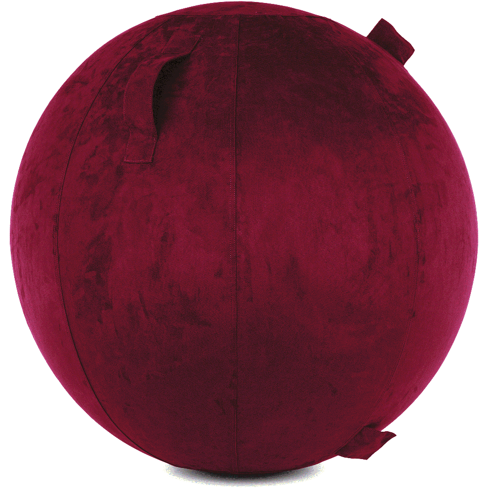 360 - YOGA-75-COWBALL-MPurpl-Manual - Husband Pillow