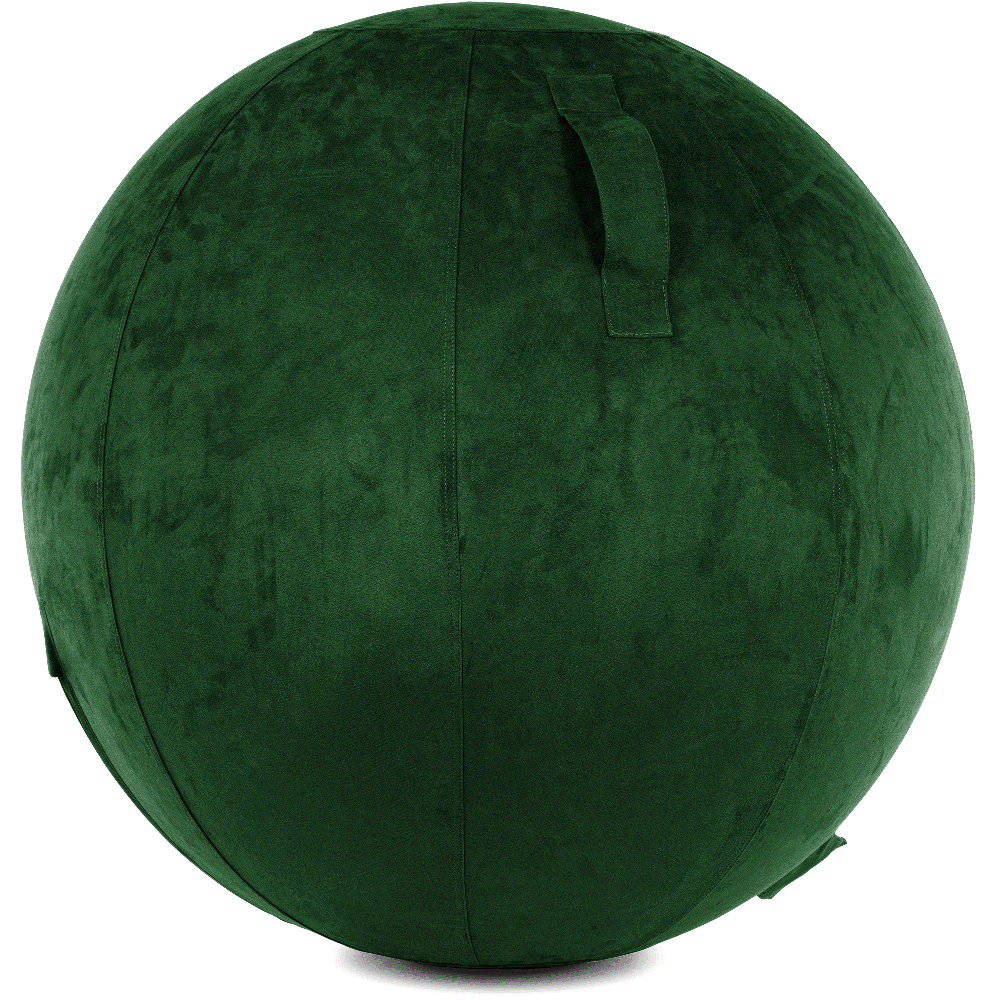 360 - YOGA-75-COWBALL-RGreen-Elect - Husband Pillow