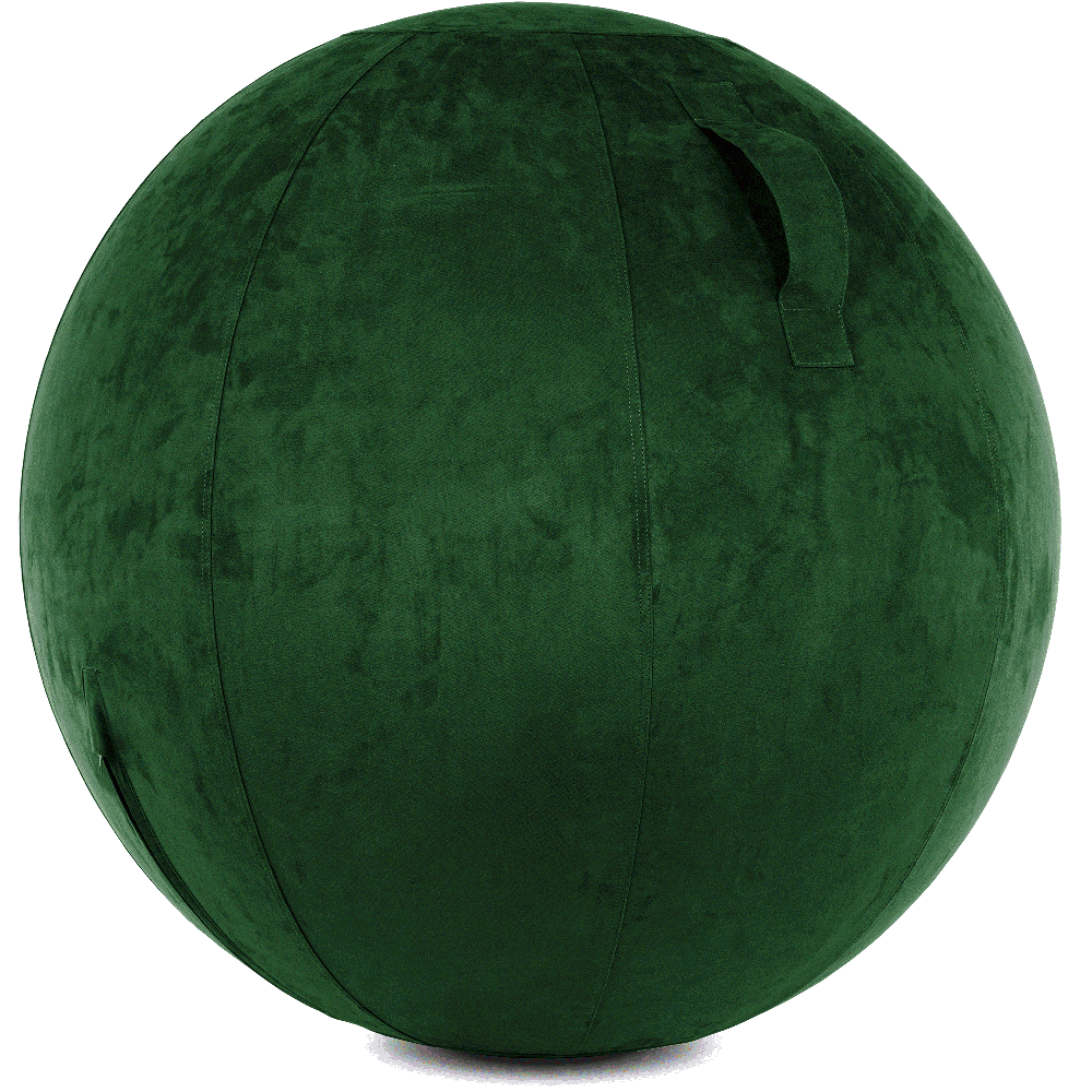 360 - YOGA-75-COWBALL-RGreen-Elect - Husband Pillow