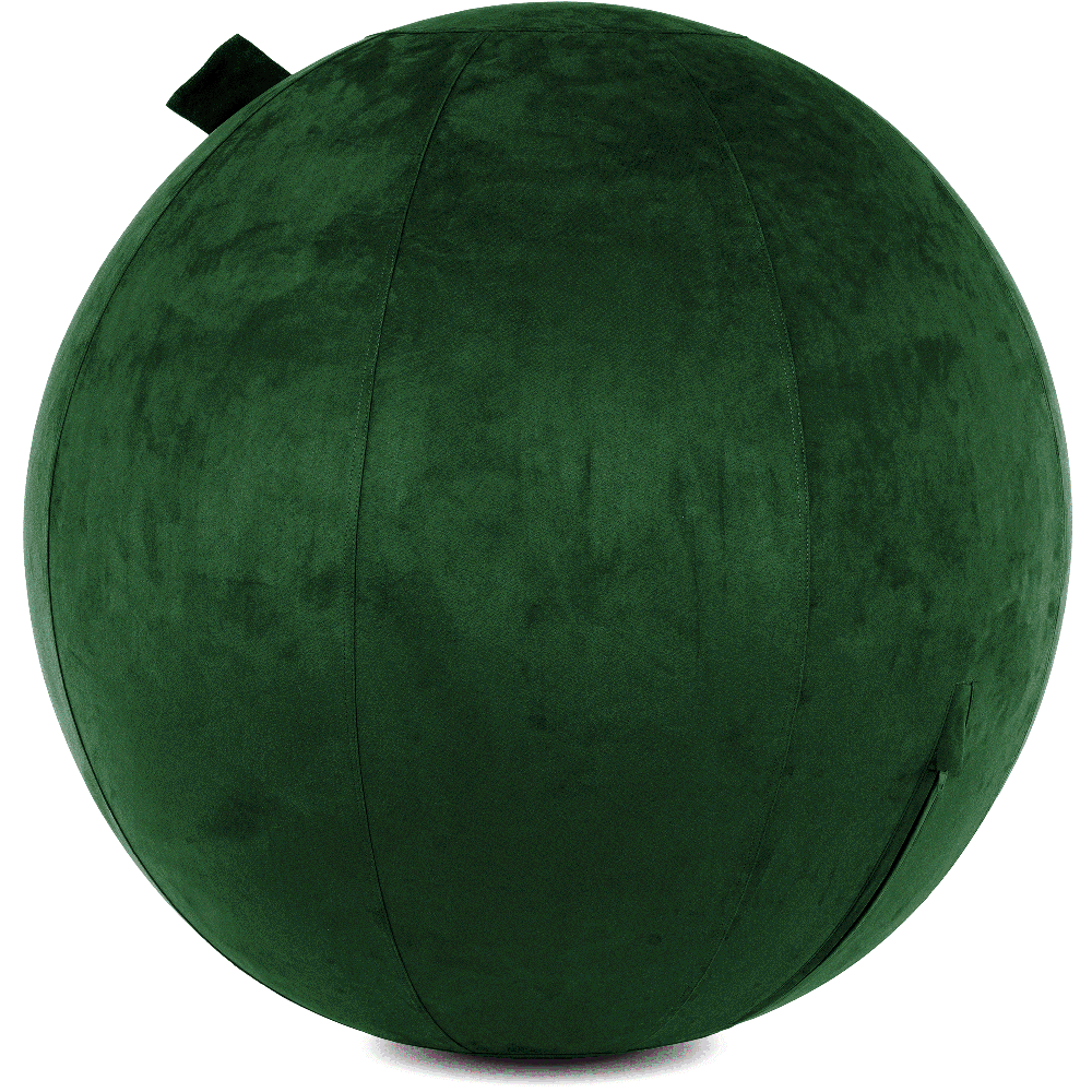 360 - YOGA-75-COWBALL-RGreen-Elect - Husband Pillow