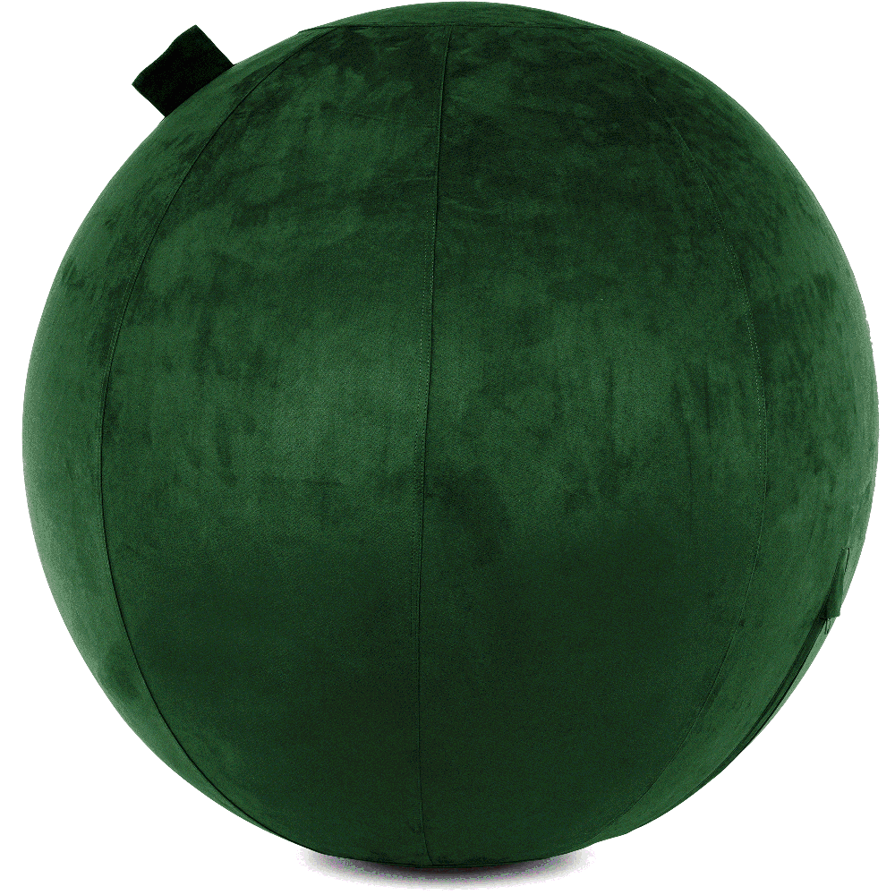 360 - YOGA-75-COWBALL-RGreen-Elect - Husband Pillow