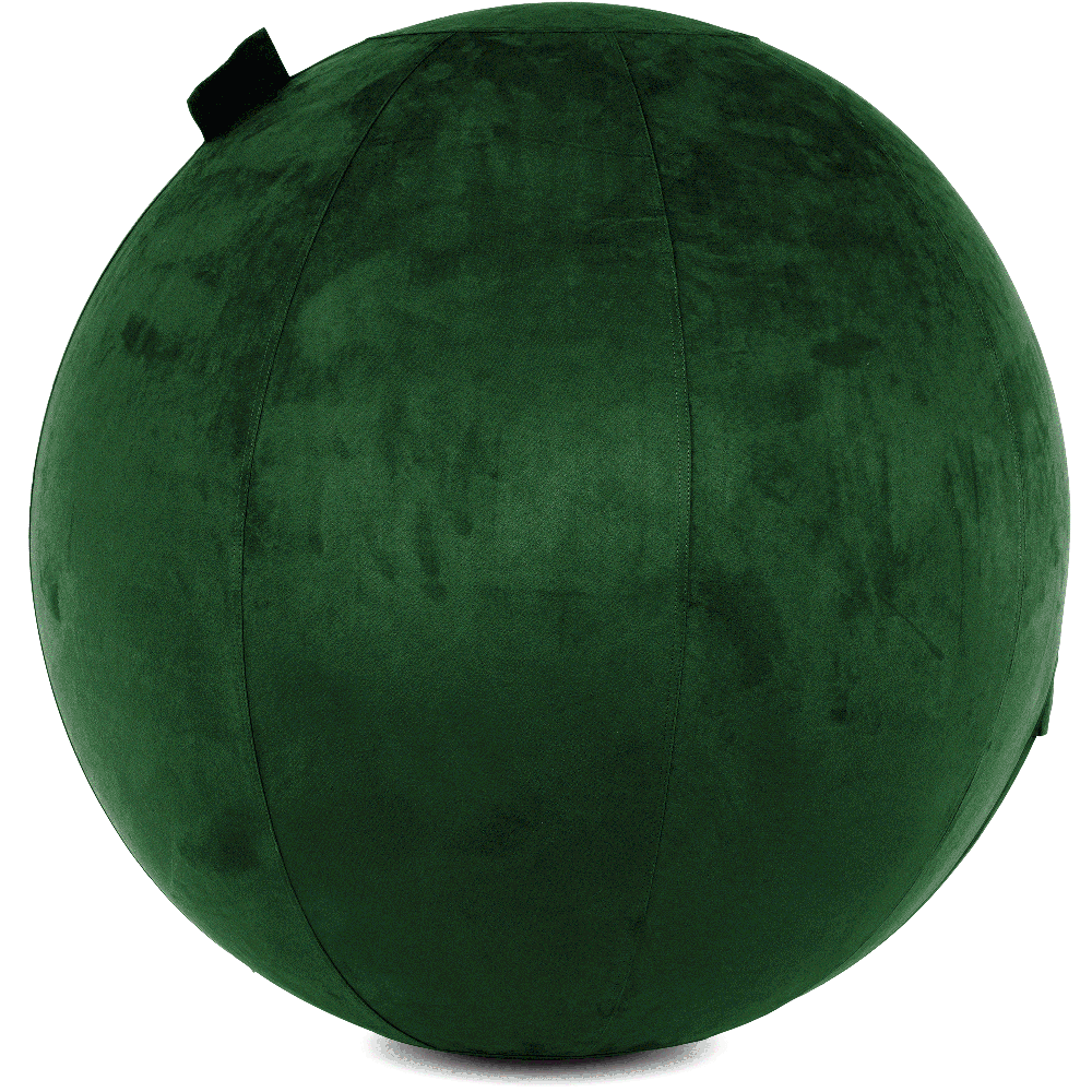 360 - YOGA-75-COWBALL-RGreen-Elect - Husband Pillow