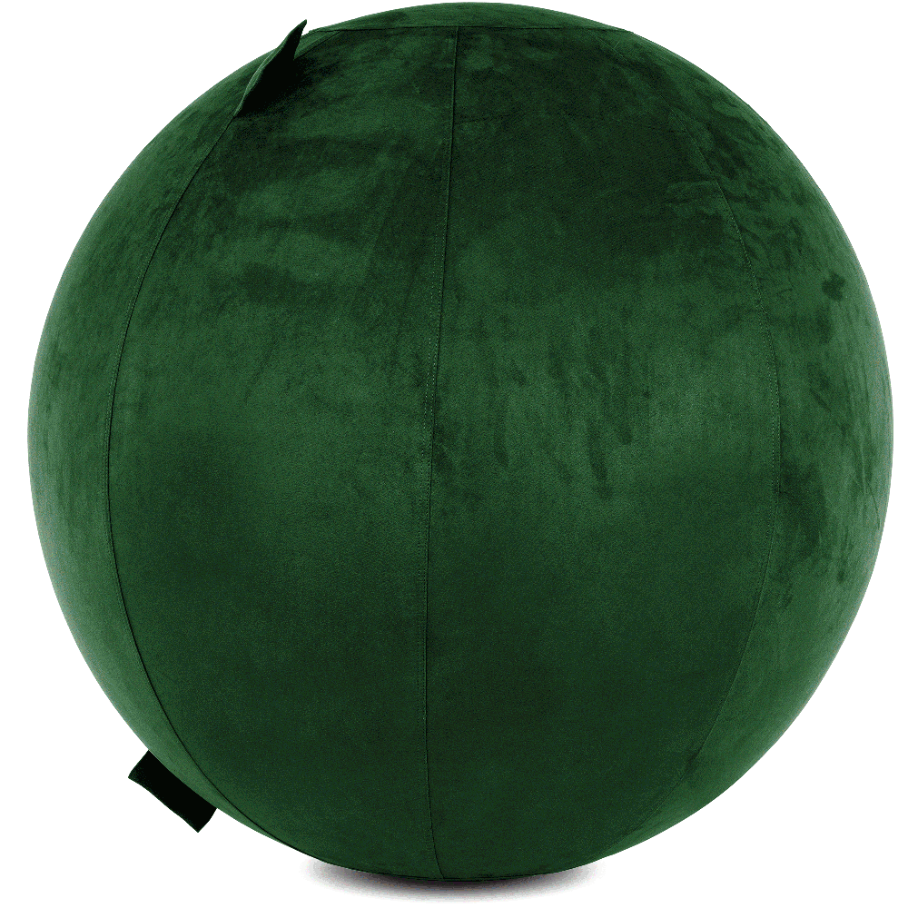 360 - YOGA-75-COWBALL-RGreen-Elect - Husband Pillow