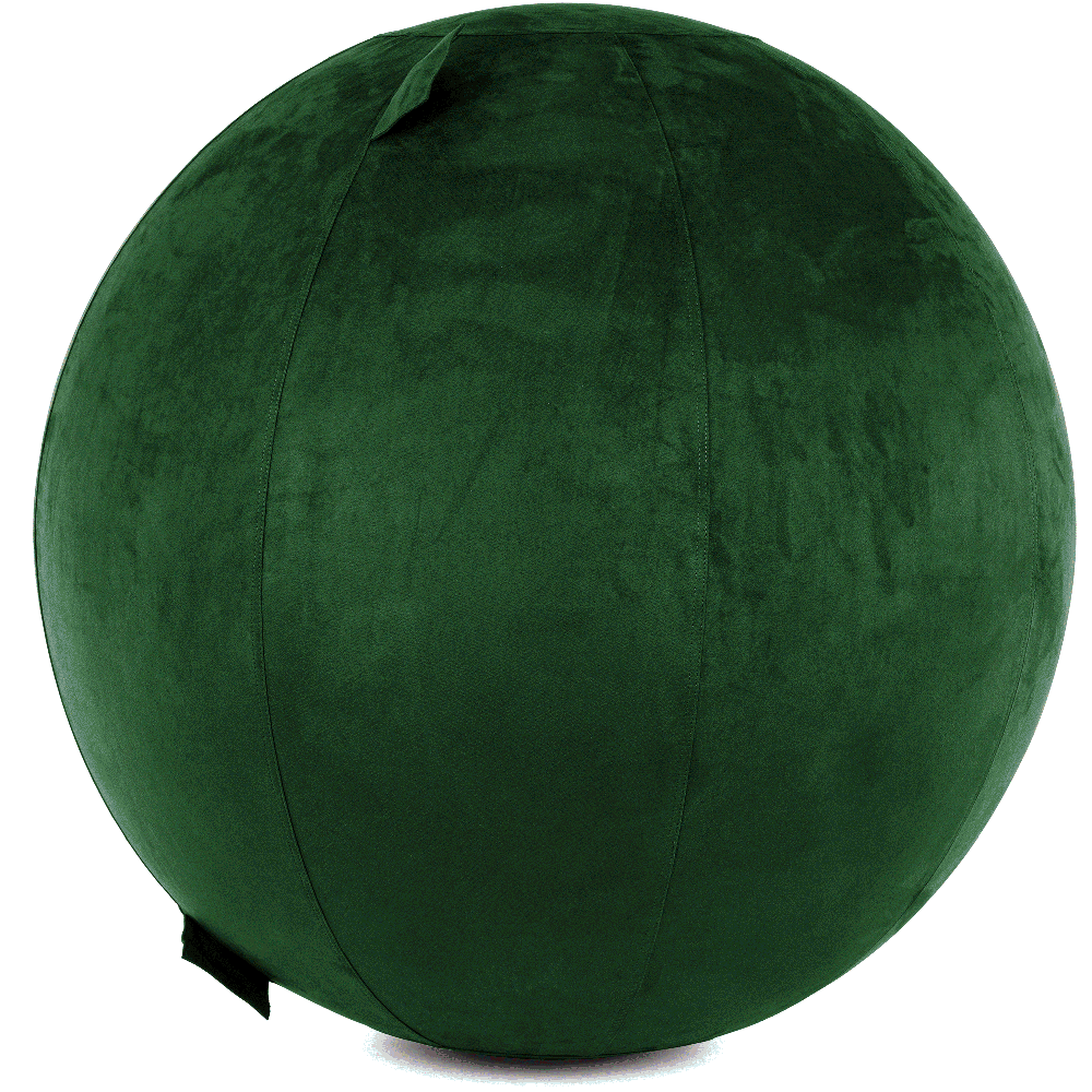 360 - YOGA-75-COWBALL-RGreen-Elect - Husband Pillow