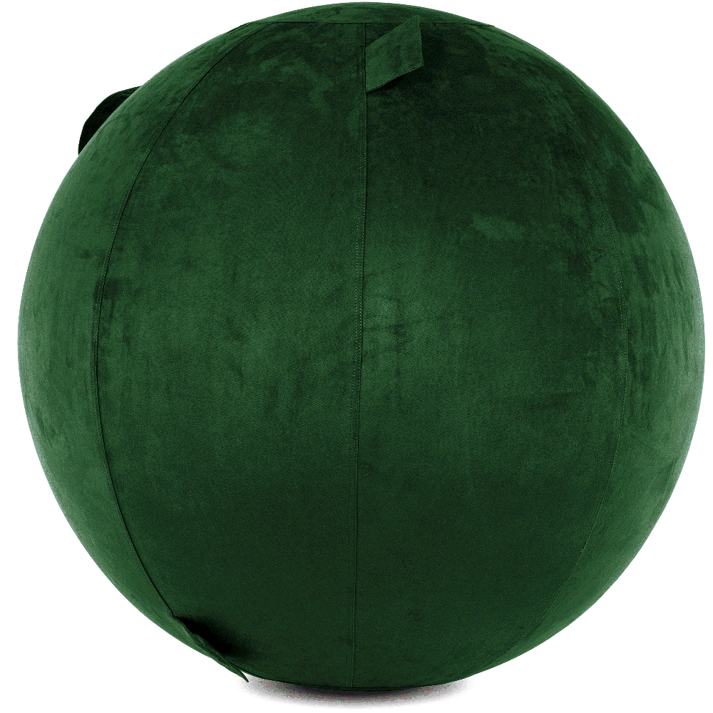 360 - YOGA-75-COWBALL-RGreen-Elect - Husband Pillow