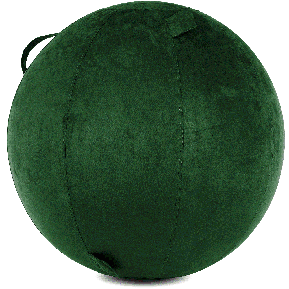 360 - YOGA-75-COWBALL-RGreen-Elect - Husband Pillow