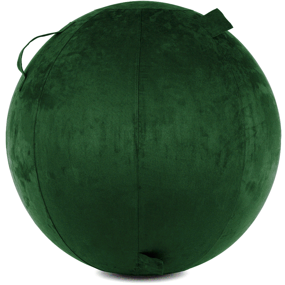 360 - YOGA-75-COWBALL-RGreen-Elect - Husband Pillow