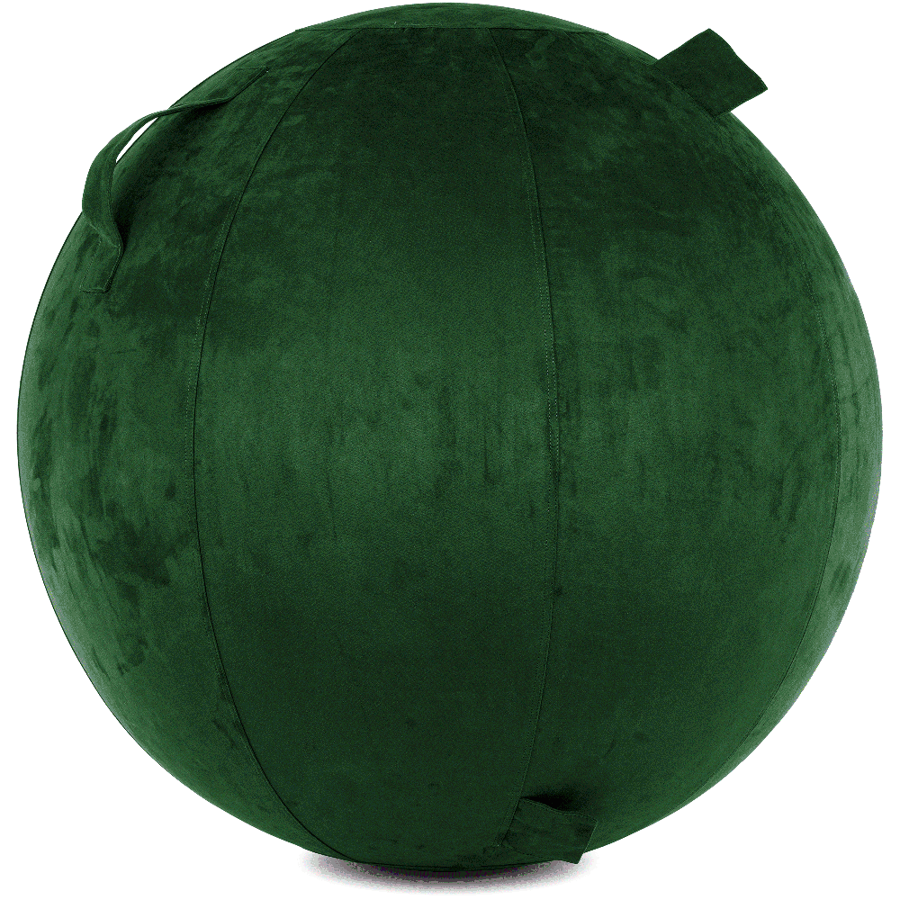 360 - YOGA-75-COWBALL-RGreen-Elect - Husband Pillow