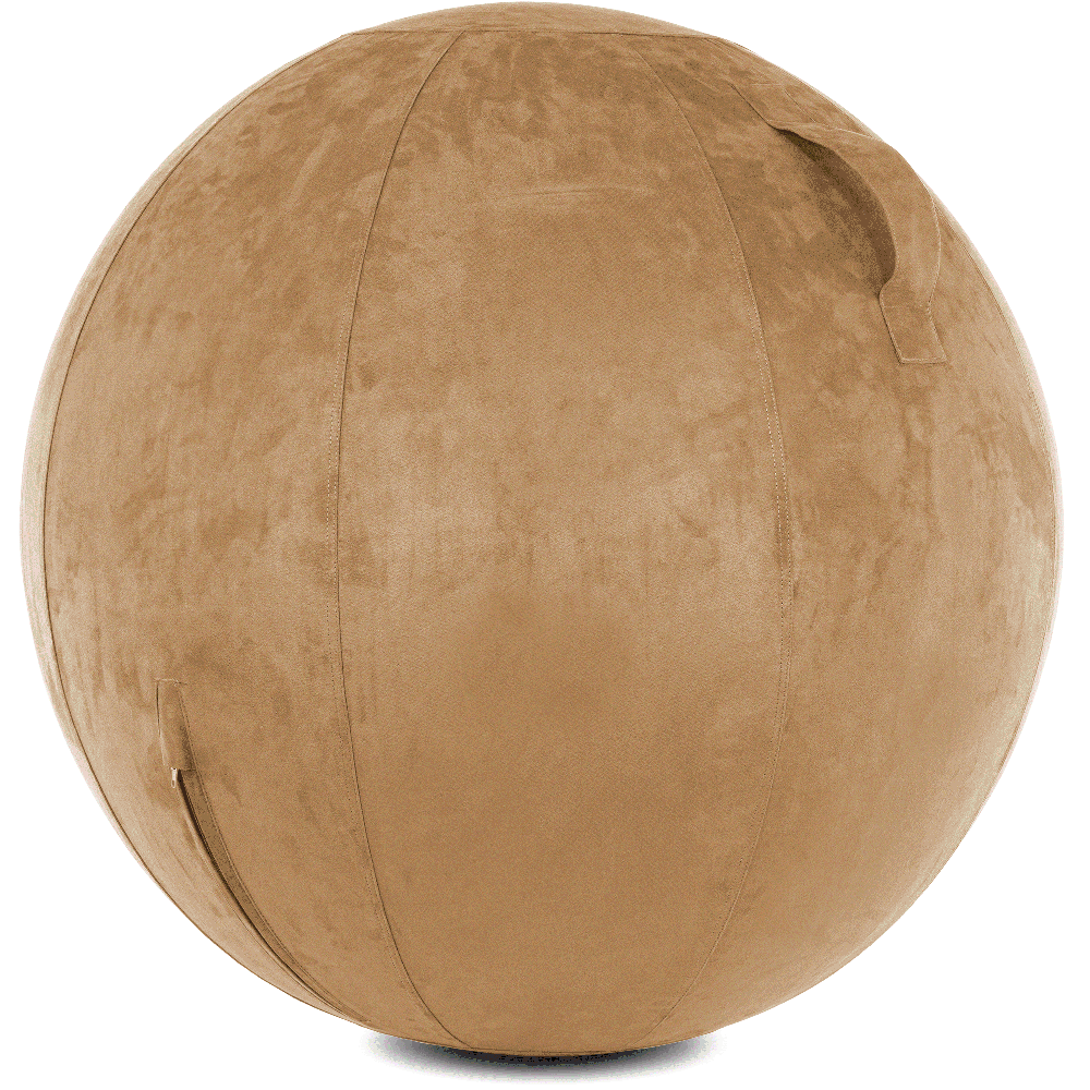 360 - YOGA-75-COWBALL-SBrown-Elect - Husband Pillow