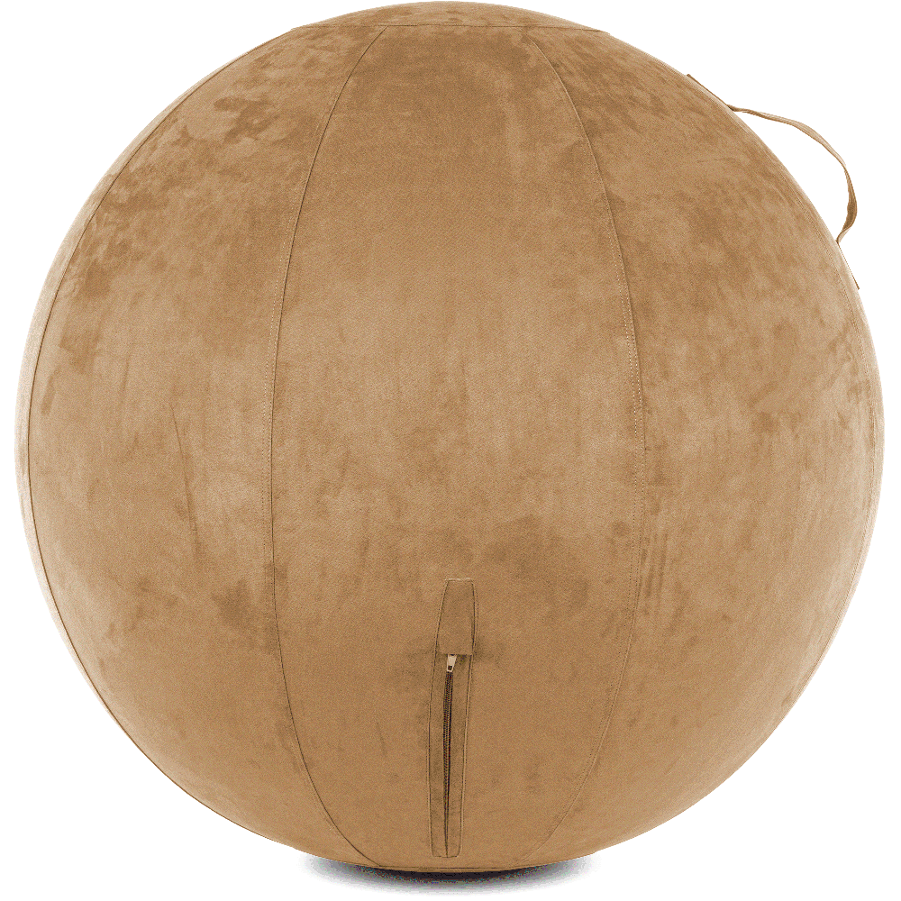 360 - YOGA-75-COWBALL-SBrown-Elect - Husband Pillow