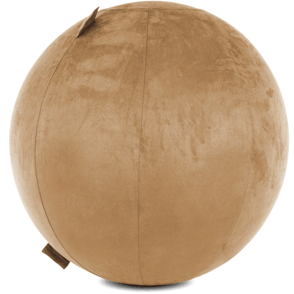 360 - YOGA-75-COWBALL-SBrown-Elect - Husband Pillow