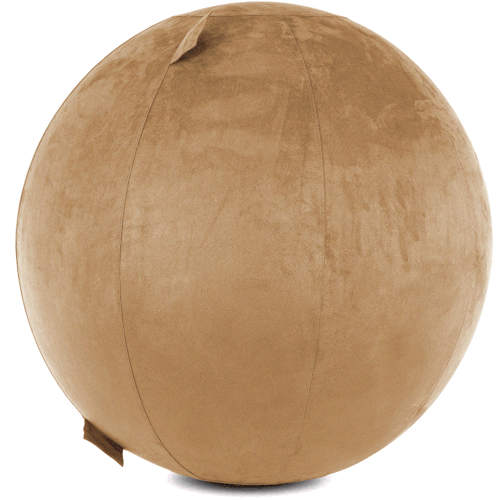 360 - YOGA-75-COWBALL-SBrown-Elect - Husband Pillow