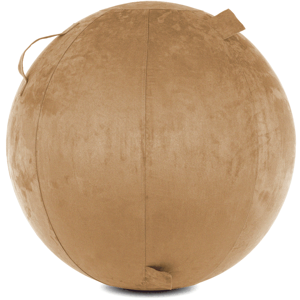 360 - YOGA-75-COWBALL-SBrown-Elect - Husband Pillow