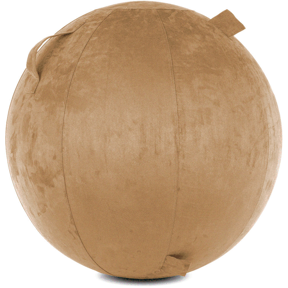 360 - YOGA-75-COWBALL-SBrown-Elect - Husband Pillow