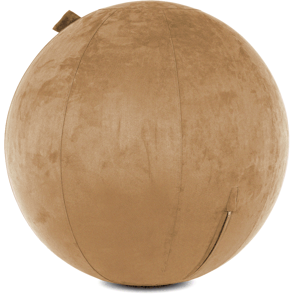 360 - YOGA-75-COWBALL-SBrown-Manual - Husband Pillow