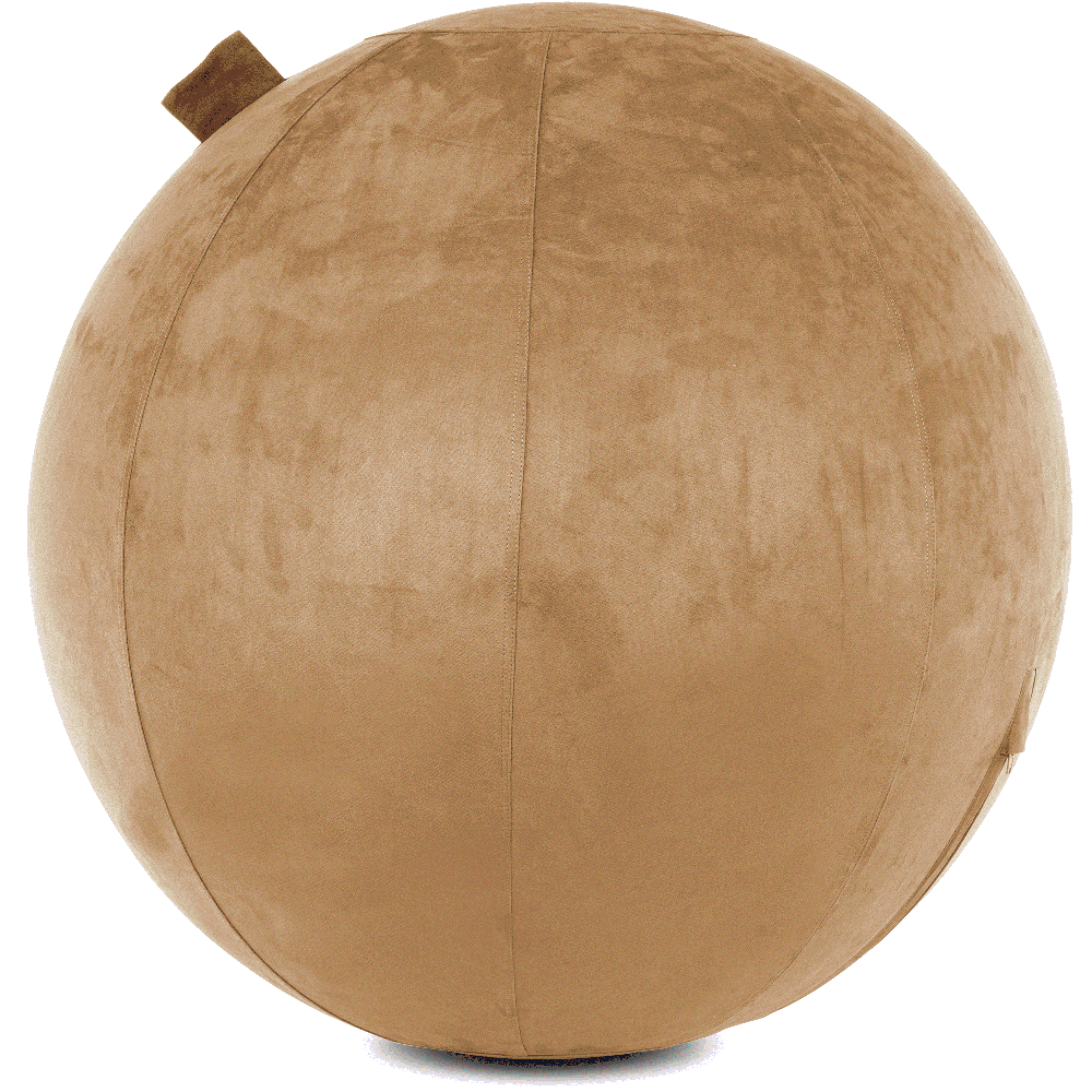 360 - YOGA-75-COWBALL-SBrown-Manual - Husband Pillow