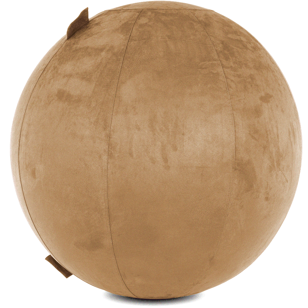 360 - YOGA-75-COWBALL-SBrown-Manual - Husband Pillow