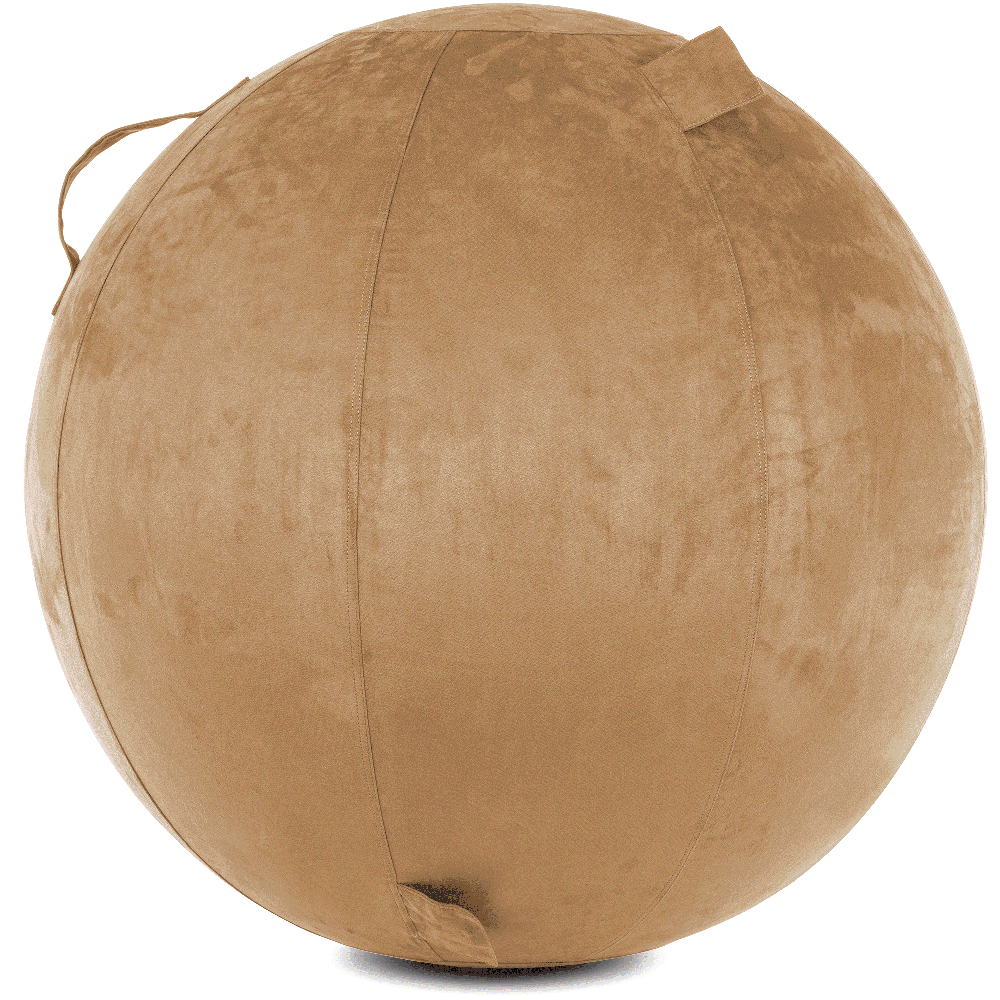 360 - YOGA-75-COWBALL-SBrown-Manual - Husband Pillow