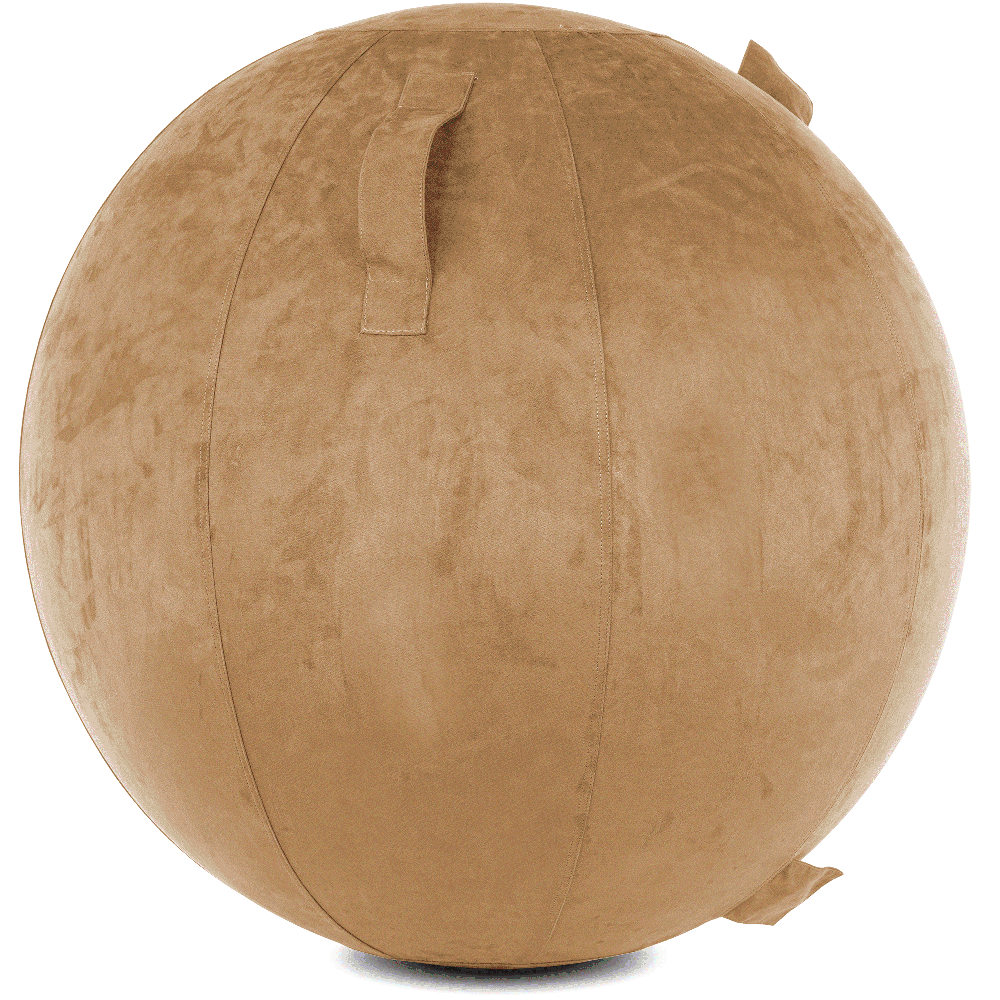 360 - YOGA-75-COWBALL-SBrown-Manual - Husband Pillow