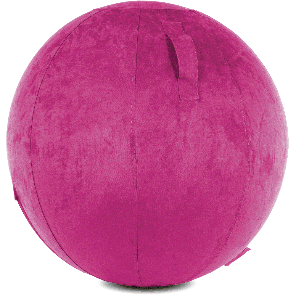 360 - YOGA-75-COWBALL-SRaspberry-Elect - Husband Pillow