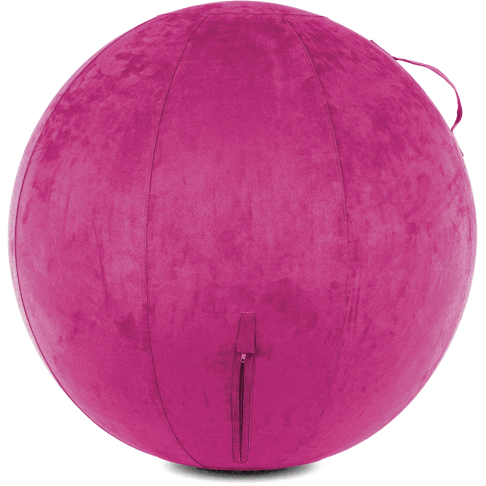 360 - YOGA-75-COWBALL-SRaspberry-Elect - Husband Pillow