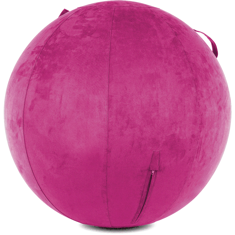 360 - YOGA-75-COWBALL-SRaspberry-Elect - Husband Pillow