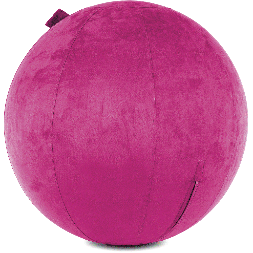 360 - YOGA-75-COWBALL-SRaspberry-Elect - Husband Pillow