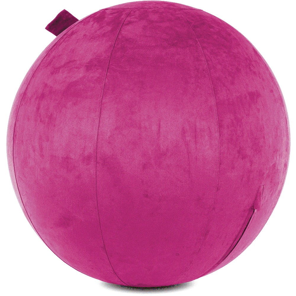 360 - YOGA-75-COWBALL-SRaspberry-Elect - Husband Pillow