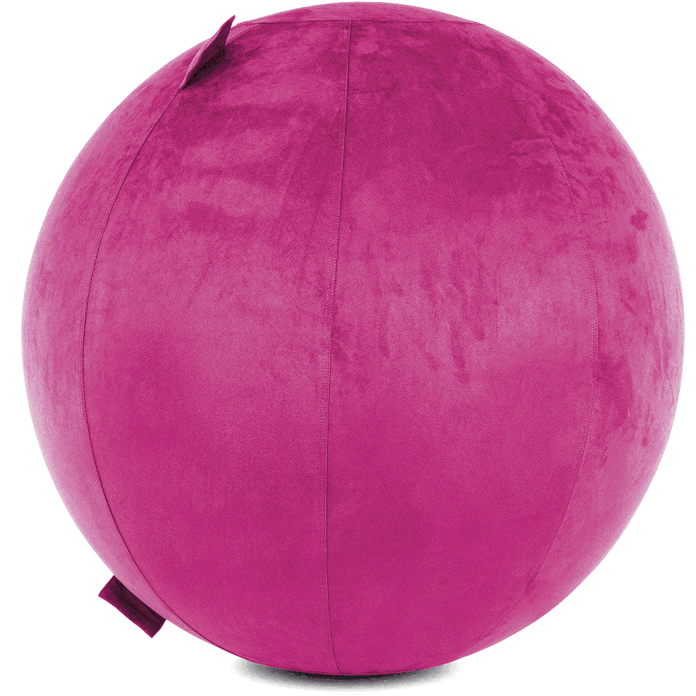 360 - YOGA-75-COWBALL-SRaspberry-Elect - Husband Pillow